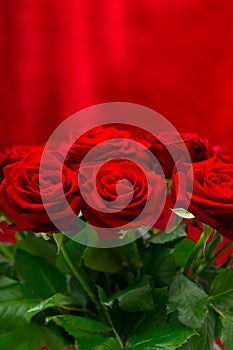 Beautiful red roses bouquet. festive arrangement