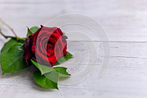 Beautiful red roses flowers lie on a wooden table