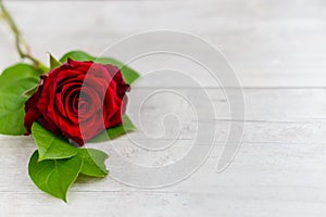 Beautiful red roses flowers lie on a wooden table