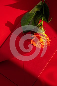 Beautiful red roses flowers in postal red envelope on red background, copy space for text, spring time, greeting card