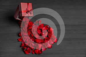 Beautiful red roses next to a gift red box on a dark cement background