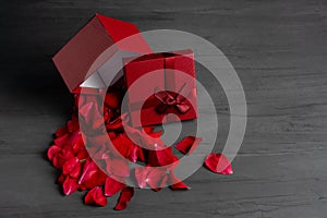 Beautiful red roses next to a gift red box on a dark cement background