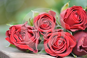 Beautiful red roses, on the right day for the woman in your heart, whom you love more than anything and who owe so much