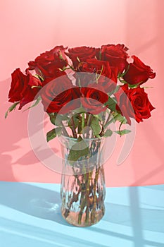 Beautiful red roses in the vase with a pink background. Love concept