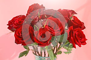 Beautiful red roses in the vase with a pink background. Love concept