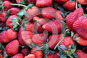 Beautiful red strawberries