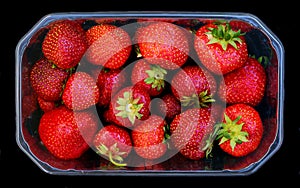 Beautiful red strawberries in a box photo