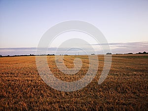 Sunset in fields of cut grain