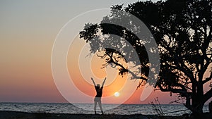 .......Beautiful red sunset on the seashore against the background of a tree in the bansai style.