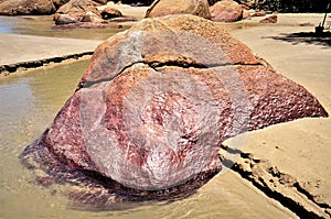 Beautiful reddish colored stone on the edge of the freshwater stream on the beach