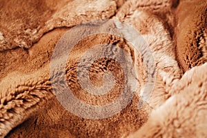 Beautiful redhead fur Rex rabbit for clothing