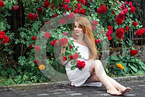 Beautiful redhead girl with bare feet wearing in a white stylish dress sitting on background of blooming roses and holding a