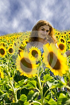 Beautiful redhead woman in sunflower field