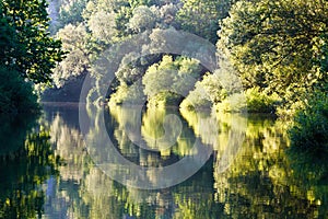 Beautiful Reflection on Cetina River near Split