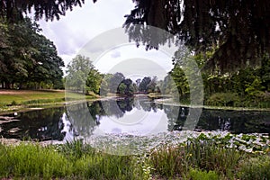 Beautiful reflection in Lake Sacajawea in Kelso photo