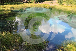 Beautiful reflection of trees and clouds in a lake