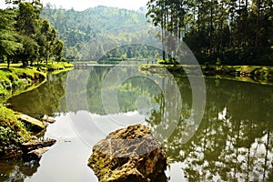 Beautiful Reflection at upstream spring Cisanti