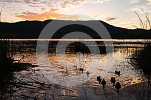 Beautiful reflections at the Banyoles lake at sunset. Calm lake water at dusE at Wstany de Banyoles. Concept of peaceful and