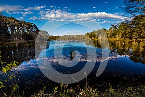 Reflections on the Still Waters of Creekfield Lake.