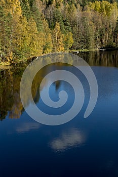 Beautiful reflections on the forest pond partly covered with thin ice