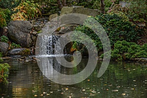 Beautiful Reflective Pool in the Garden