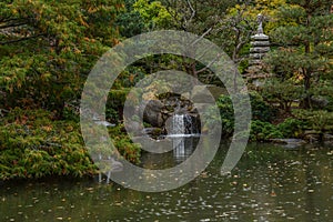 Beautiful Reflective Pool in the Garden