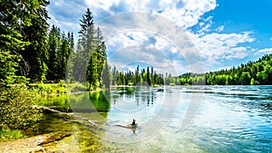 View of Clearwater Lake in Wells Gray Provincial Park, BC, Canada photo