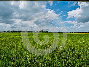 Beautiful refreshing blue sky cloud cloudy landscape background