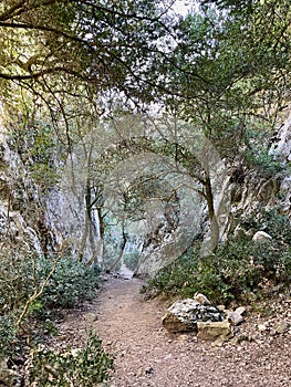 Beautiful Regalon gorge, Provence, France.
