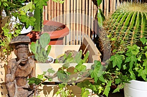 Beautiful relaxation terrace full of plants and cactuses with a wooden statuette