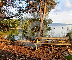 A beautiful remote campground located on a hill with trees overlooking the ocean   It is a sunny summer evening on Tent Island