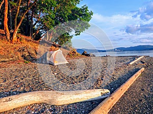 A beautiful remote camping location on a sandy beach along the ocean beside the forest.  It is a sunny summer evening