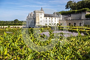 Beautiful renaissance park with chateau Villandry on the background, Loire region, France.