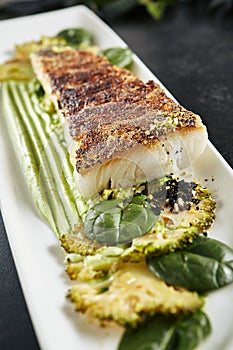 Beautiful Restaurant Plate of Baked Halibut Fillet and Broccoli in Different Textures