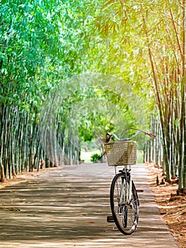 Beautiful retro bicycle parked on pathway in bamboo garden with blurred image of park in background. Taking a rest after cycling