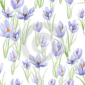 Beautiful retro pastel flowers seamless pattern. Hand painted floral design background with crocus