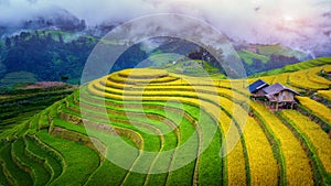 Beautiful Rice terraces at Mam xoi viewpoint in Mu cang chai, Vietnam photo