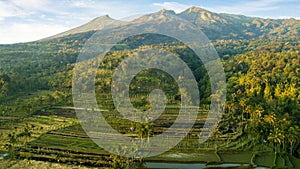 Beautiful rice terraces near Rinjani volcano