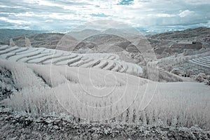 Beautiful rice terraces in Pa Bong Piang