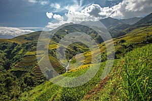 Beautiful Rice Terraces, South East Asia,Vietnam.