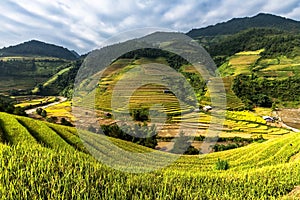 Beautiful Rice Terraces, South East Asia,Vietnam.