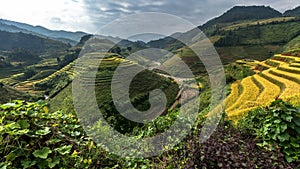 Beautiful Rice Terraces, South East Asia,Vietnam.