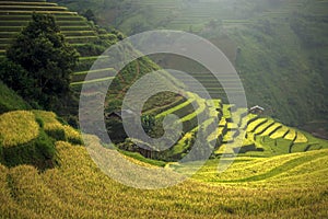 Beautiful Rice Terraces, South East Asia photo