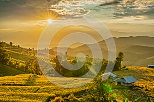 Beautiful rice terraces during sunset