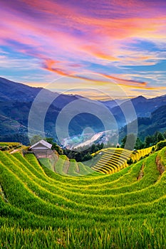 Beautiful Rice terraces at sunset in Mu cang chai, Vietnam