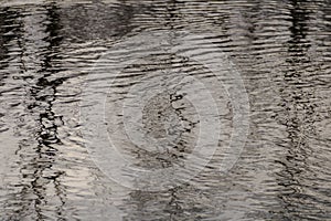 Beautiful ripples on the water - lead cold natural