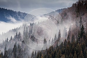 Beautiful rising fog in winter mountain landscape