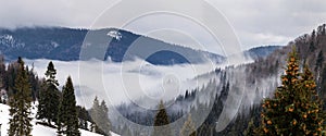 Beautiful rising fog in winter mountain landscape