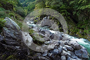 Beautiful rive with fresh blue water and long rock. In japan forest