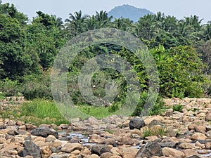 Beautiful river banks of bhavani river in Attappady, Palakkad, Kerala  India.